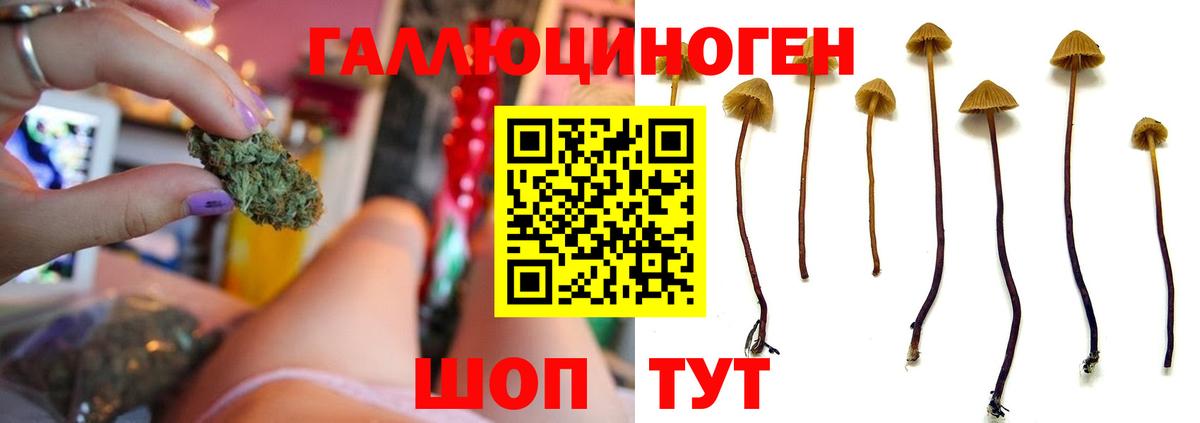 как найти наркотики  Вход с VPN  Троицк  Псилоцибиновые грибы GOLDEN TEACHER 